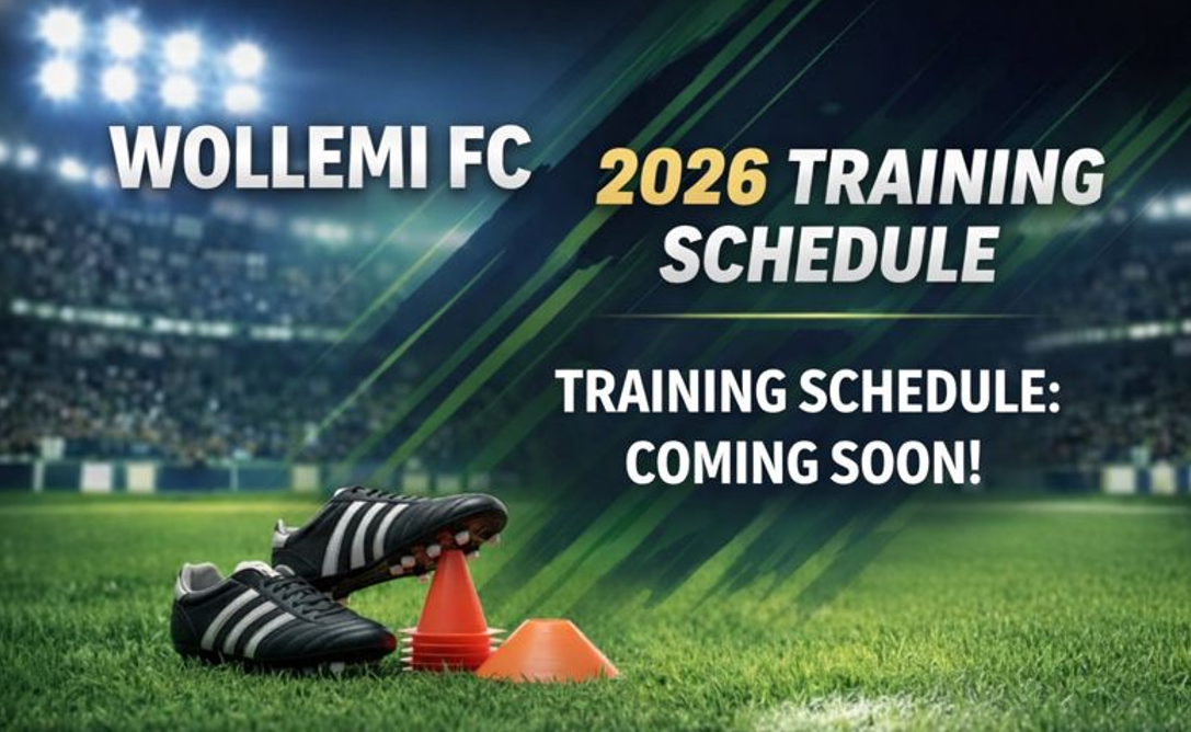 Football match in progress